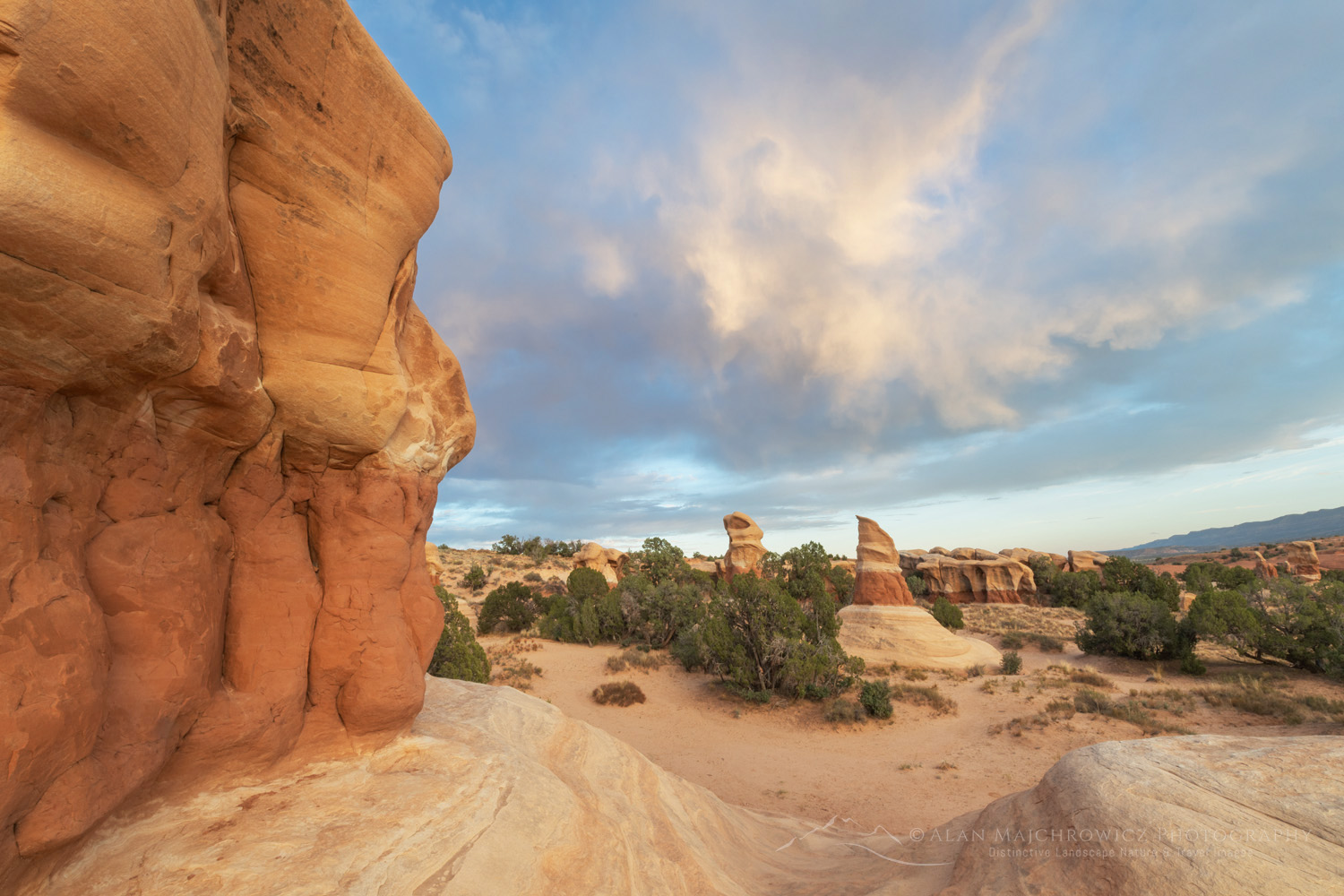 Sandstone hoodoos. Devils Garden Grand Staircase-Escalante National Monument Utah #84786