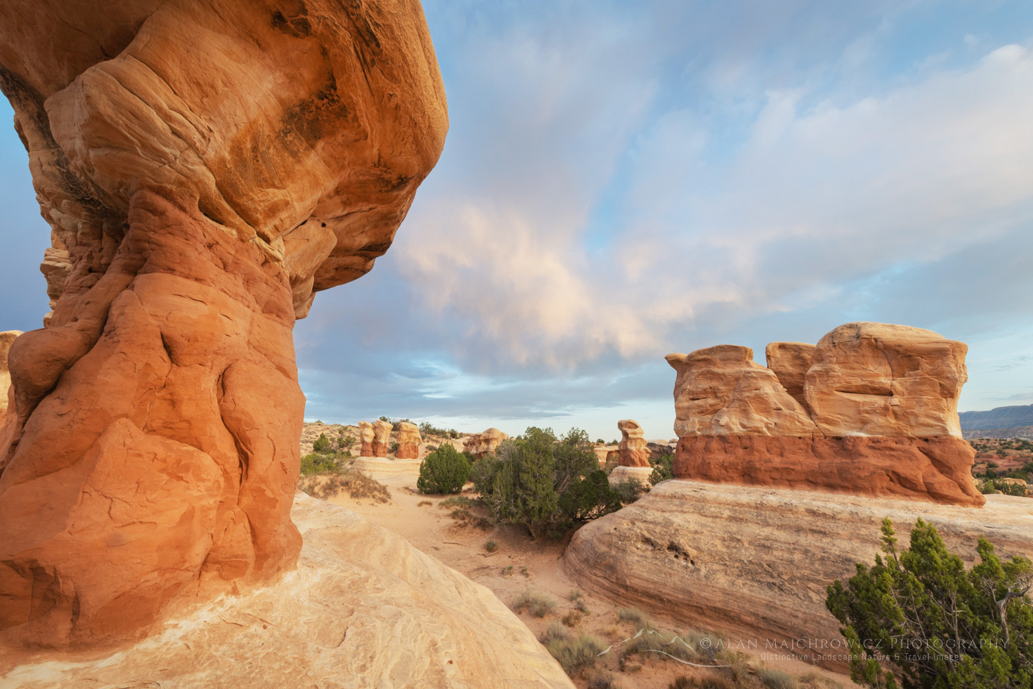 Sandstone hoodoos. Devils Garden Grand Staircase-Escalante National Monument Utah #84792