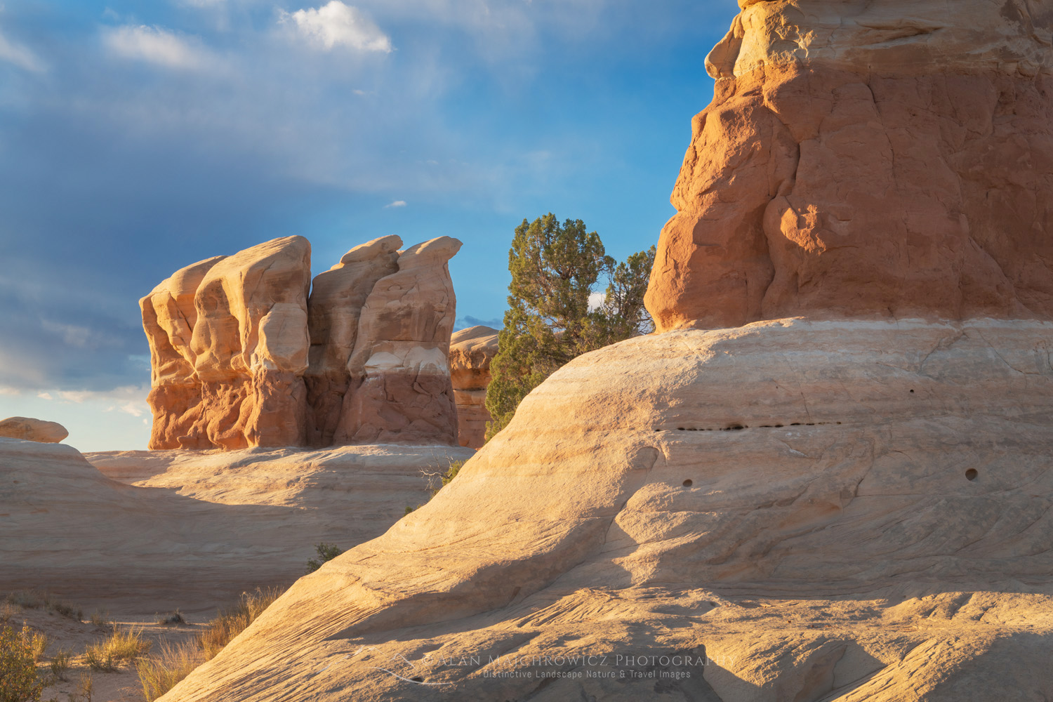 Sandstone hoodoos. Devils Garden Grand Staircase-Escalante National Monument Utah #84640