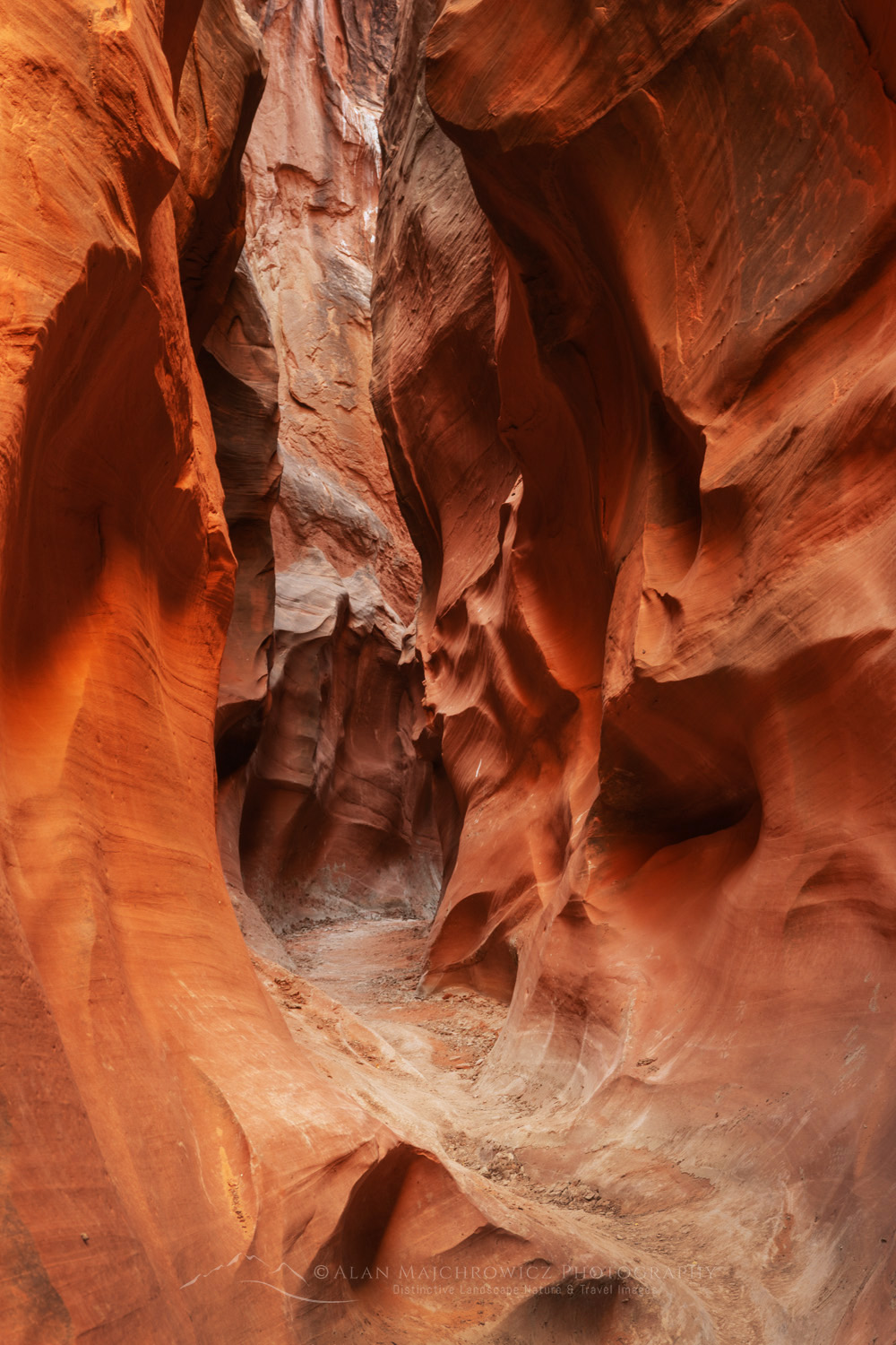 Dry Fork Narrows. Grand Staircase-Escalante National Monument Utah #84722