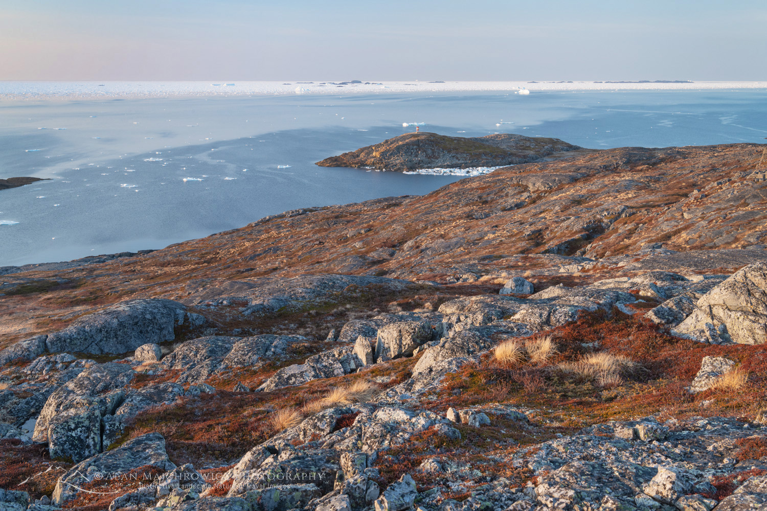 Pack ice and icebergs off the coast of Fogo Island Newfoundland and Labrador Canada #80141