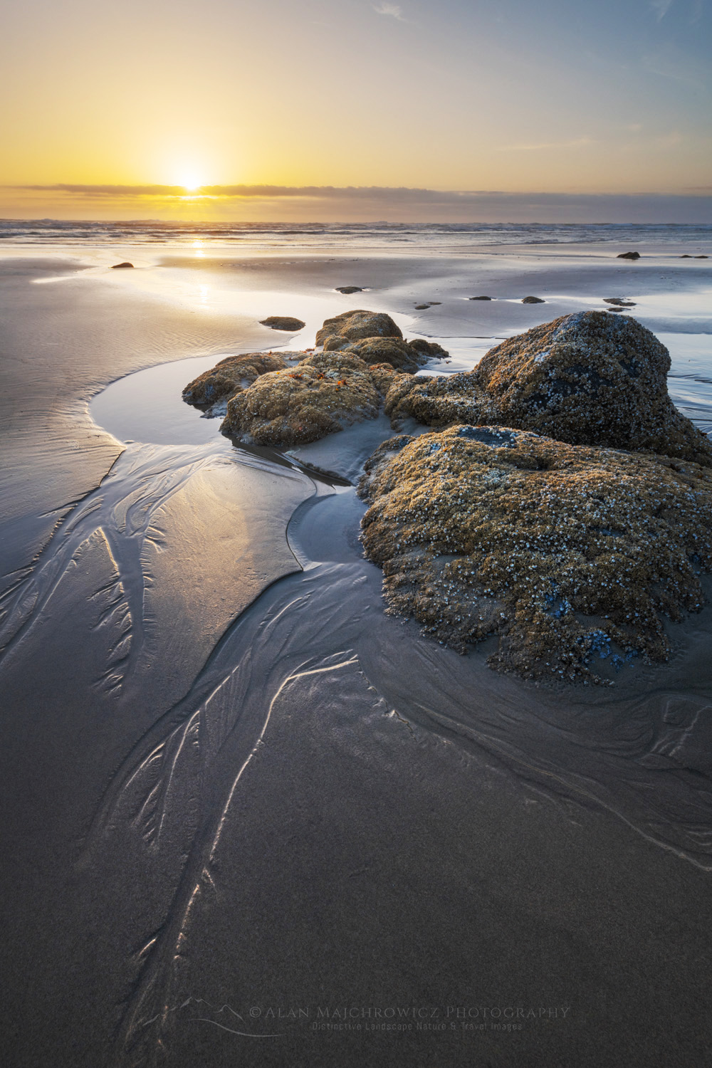 Hobbit Beach at sunset on the Oregon Coast. #83254