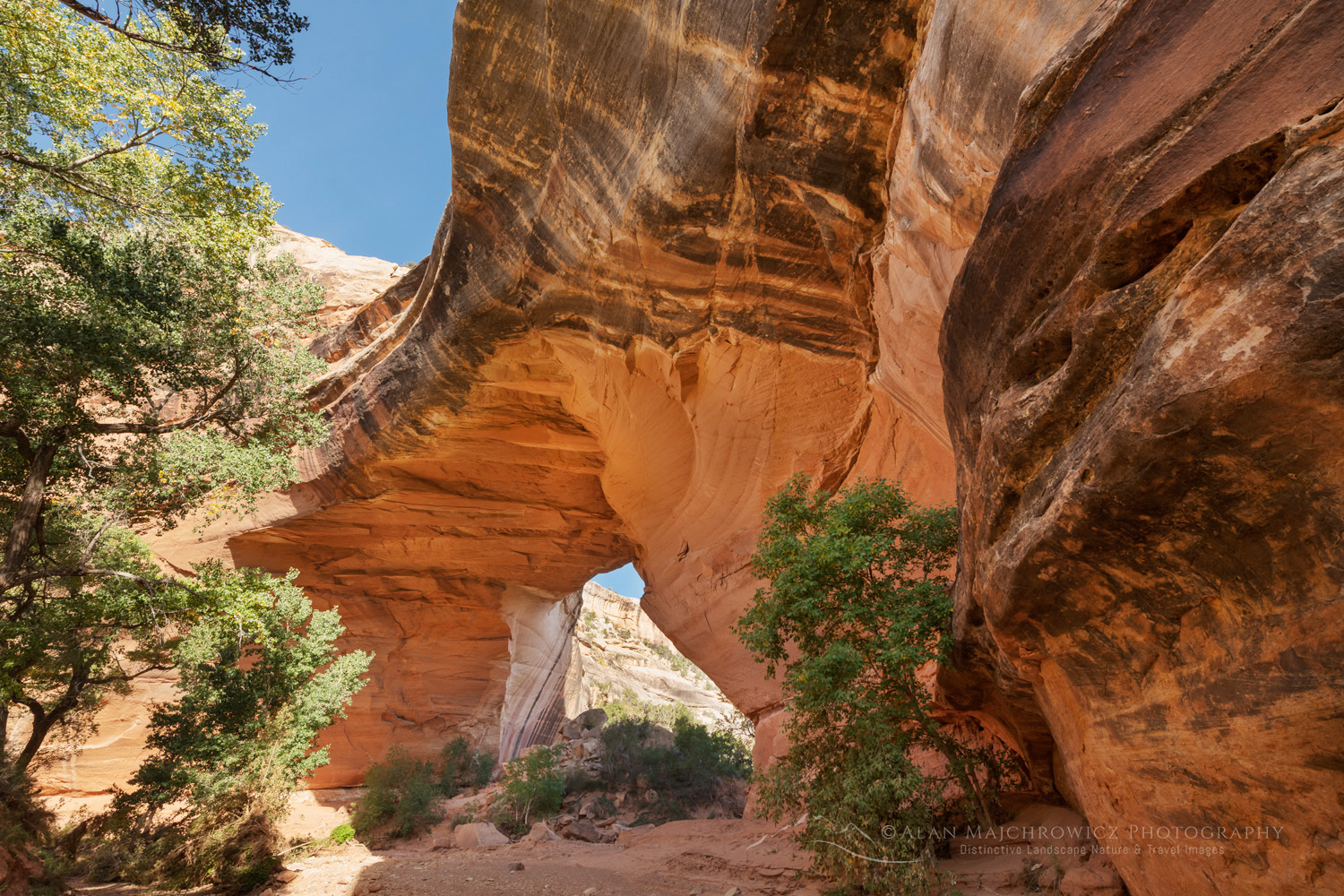 Kachina Bridge. Natural Bridges National Monument, Utah #85137