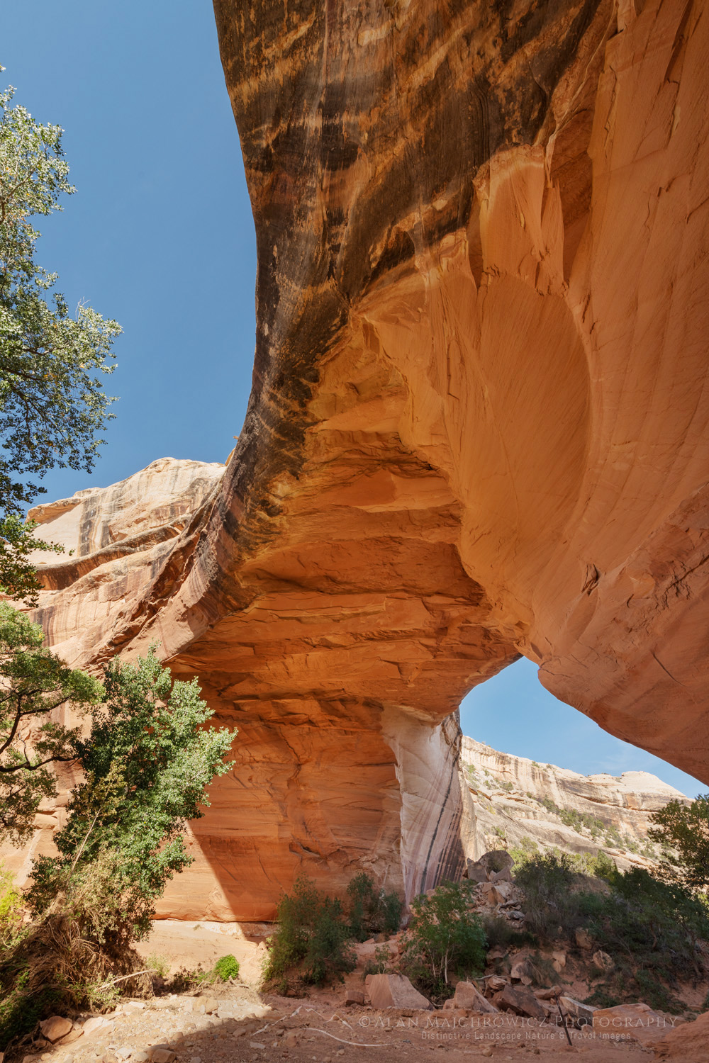 Kachina Bridge. Natural Bridges National Monument, Utah #85140
