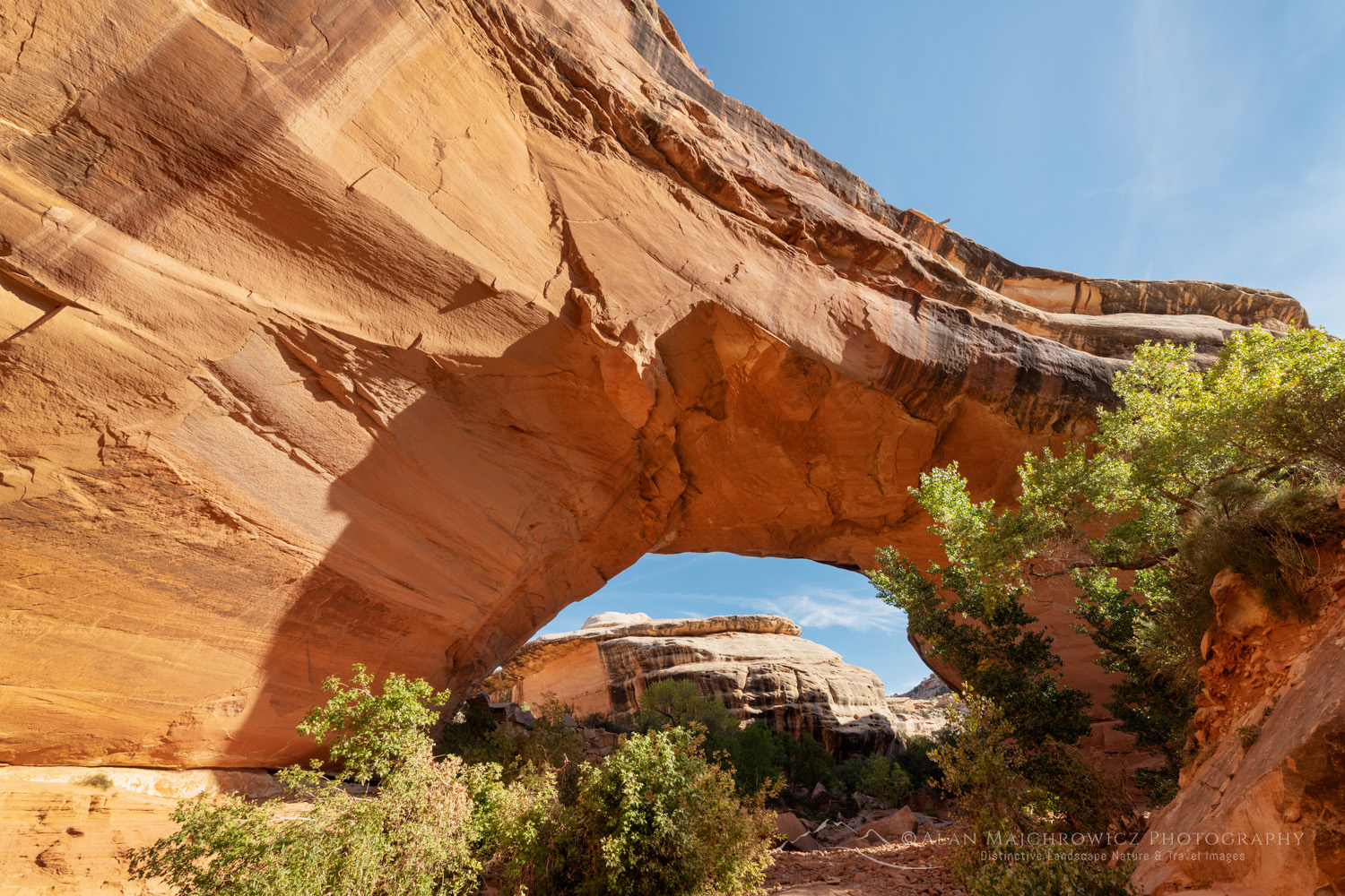 Kachina Bridge. Natural Bridges National Monument, Utah #85144