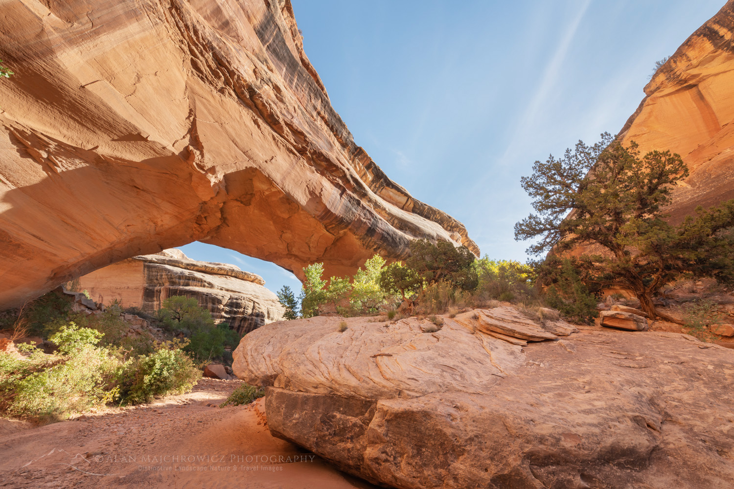 Kachina Bridge. Natural Bridges National Monument, Utah #85145