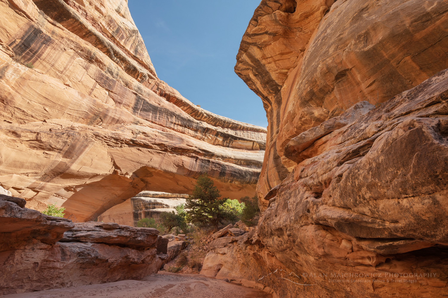 Kachina Bridge. Natural Bridges National Monument, Utah #85151