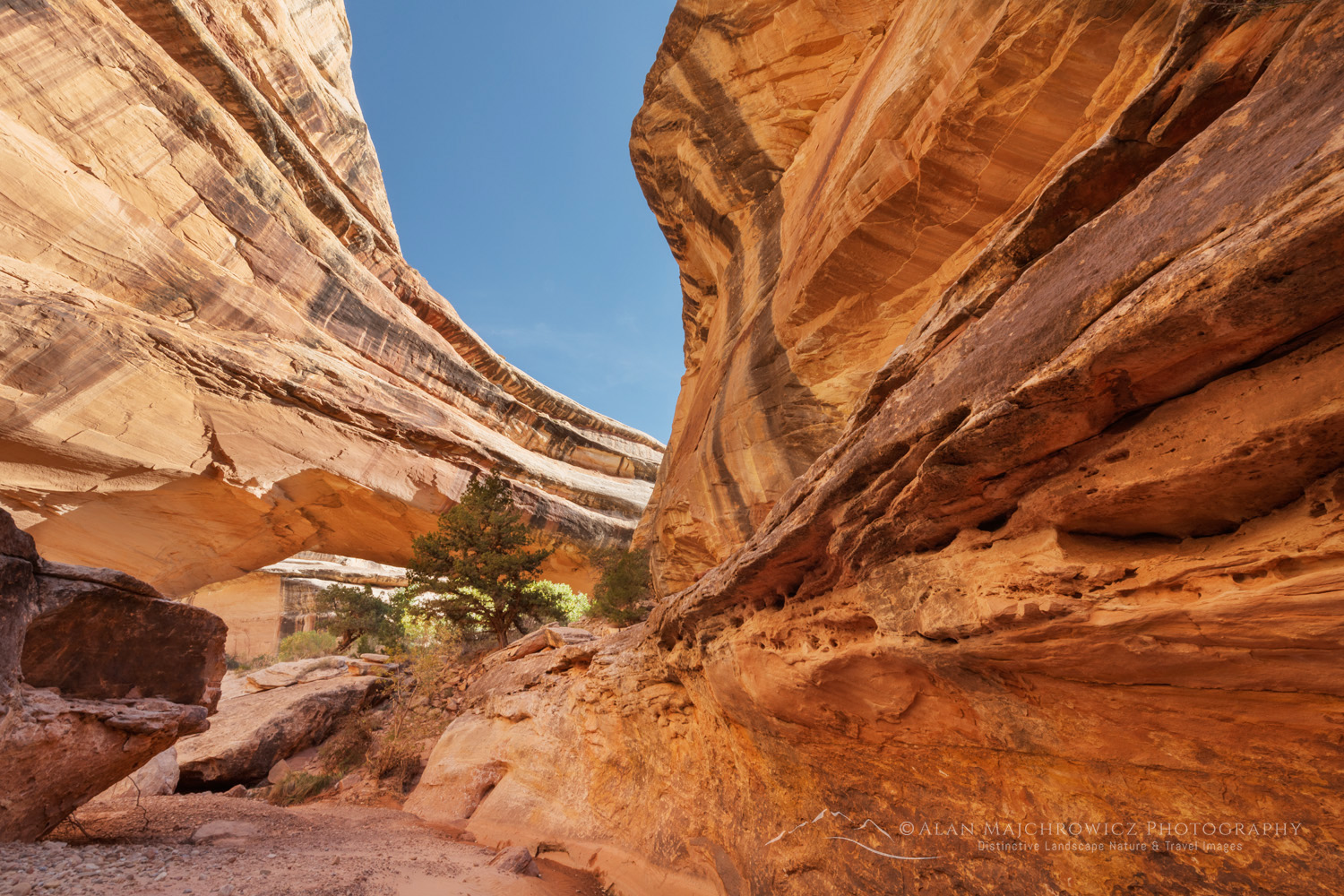 Kachina Bridge. Natural Bridges National Monument, Utah #85155
