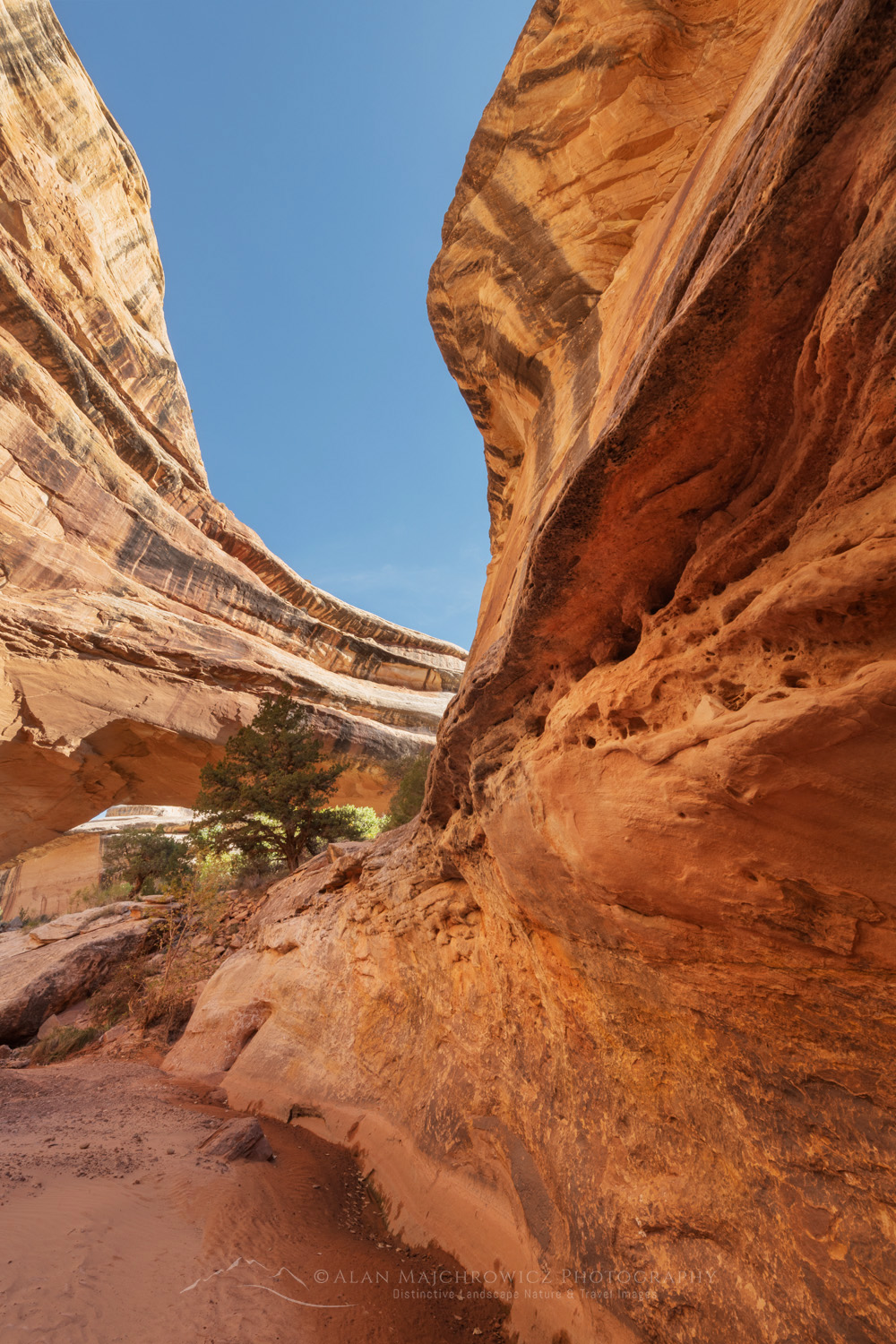 Kachina Bridge. Natural Bridges National Monument, Utah #85158