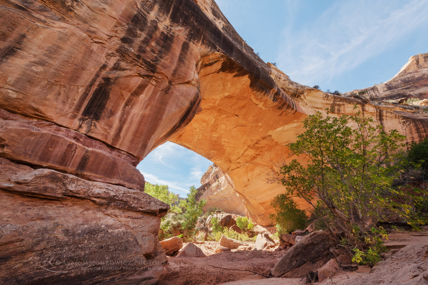 Kachina Bridge. Natural Bridges National Monument, Utah #85192