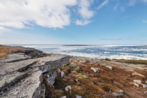 Labrador coast looking out to Strait of Belle Isle Newfoundland and Labrador Canada #80219