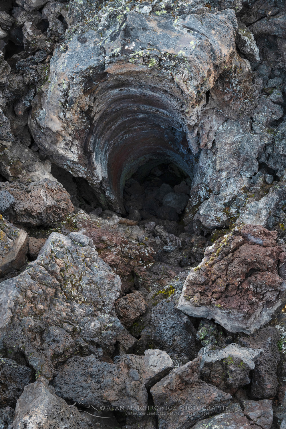 Lava Cast Forest. Newberry National Volcanic Monument #83922