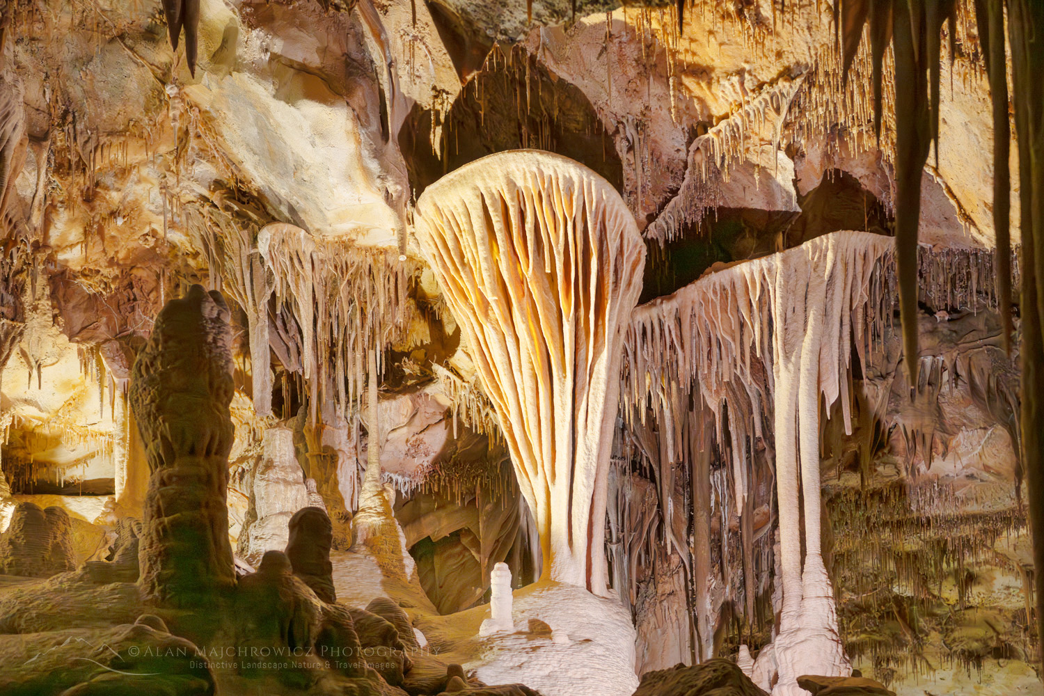 Parachute shield formations, a type of speleothem. Lehman Cave Great Basin National Park Nevada #84460
