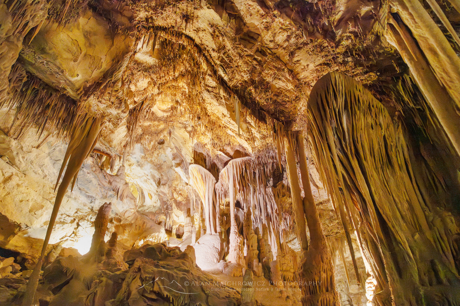 Parachute shield formations, a type of speleothem. Lehman Cave Great Basin National Park Nevada #84463
