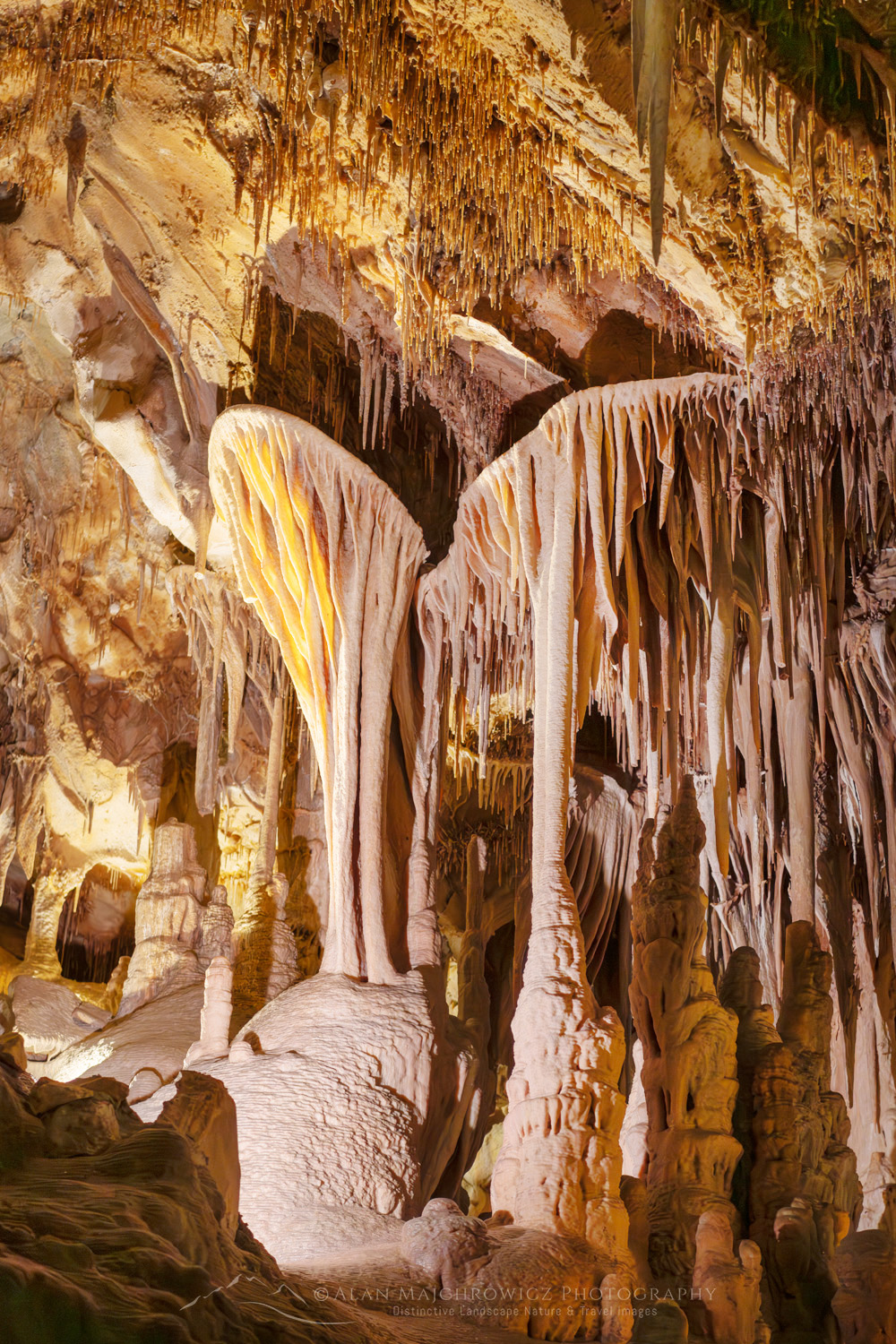 Parachute shield formations, a type of speleothem. Lehman Cave Great Basin National Park Nevada #84465