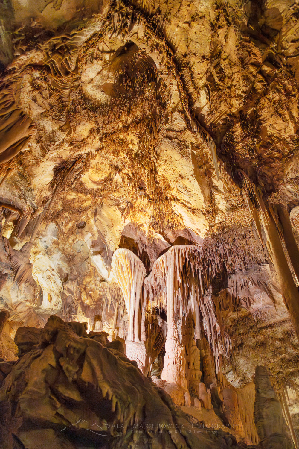 Parachute shield formations, a type of speleothem. Lehman Cave Great Basin National Park Nevada #84467