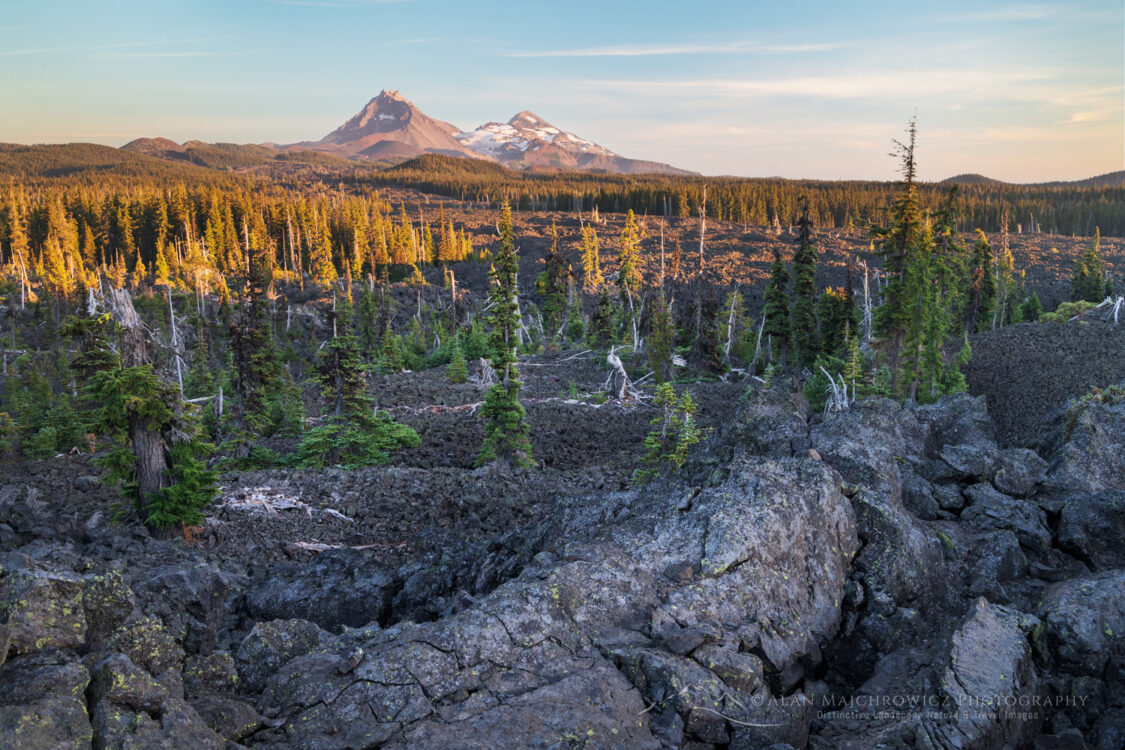 Rugged lava flow and subalpine trees at McKenzie Pass Oregon. The Three Sisters volcanoes are in the distance. #84217