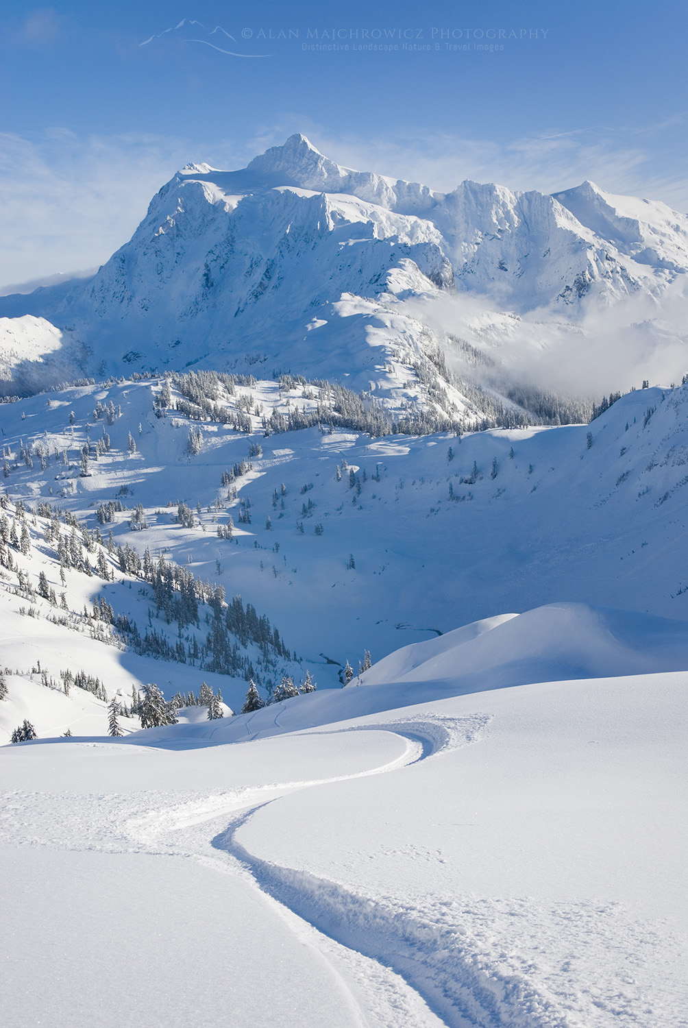 Snowboard tracks leading down from Herman Saddle, Mount Baker Wilderness Washington #38362
