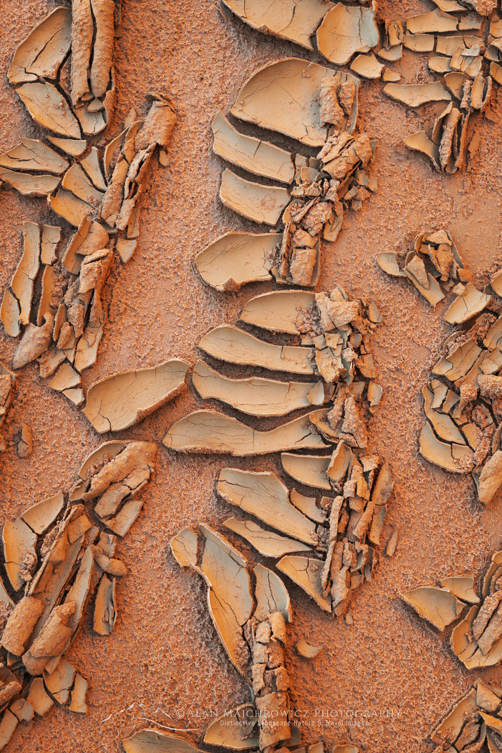 Cracked mud patterns in Harris Wash Grand Staircase-Escalante National Monument Utah #84609