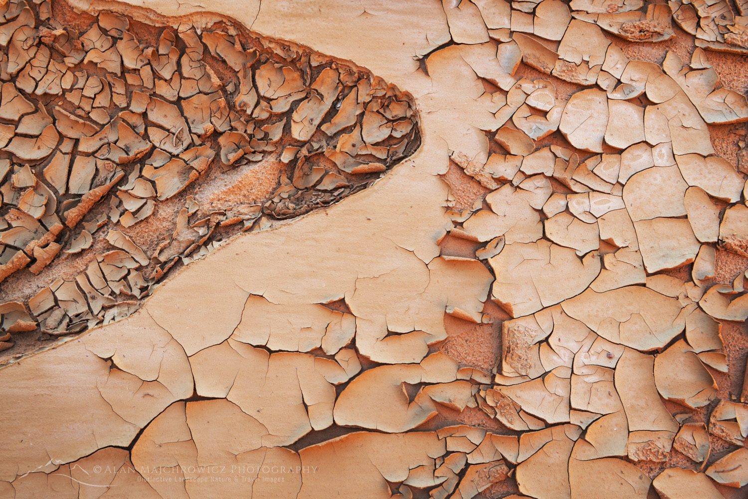 Cracked mud patterns in Harris Wash Grand Staircase-Escalante National Monument Utah #84614