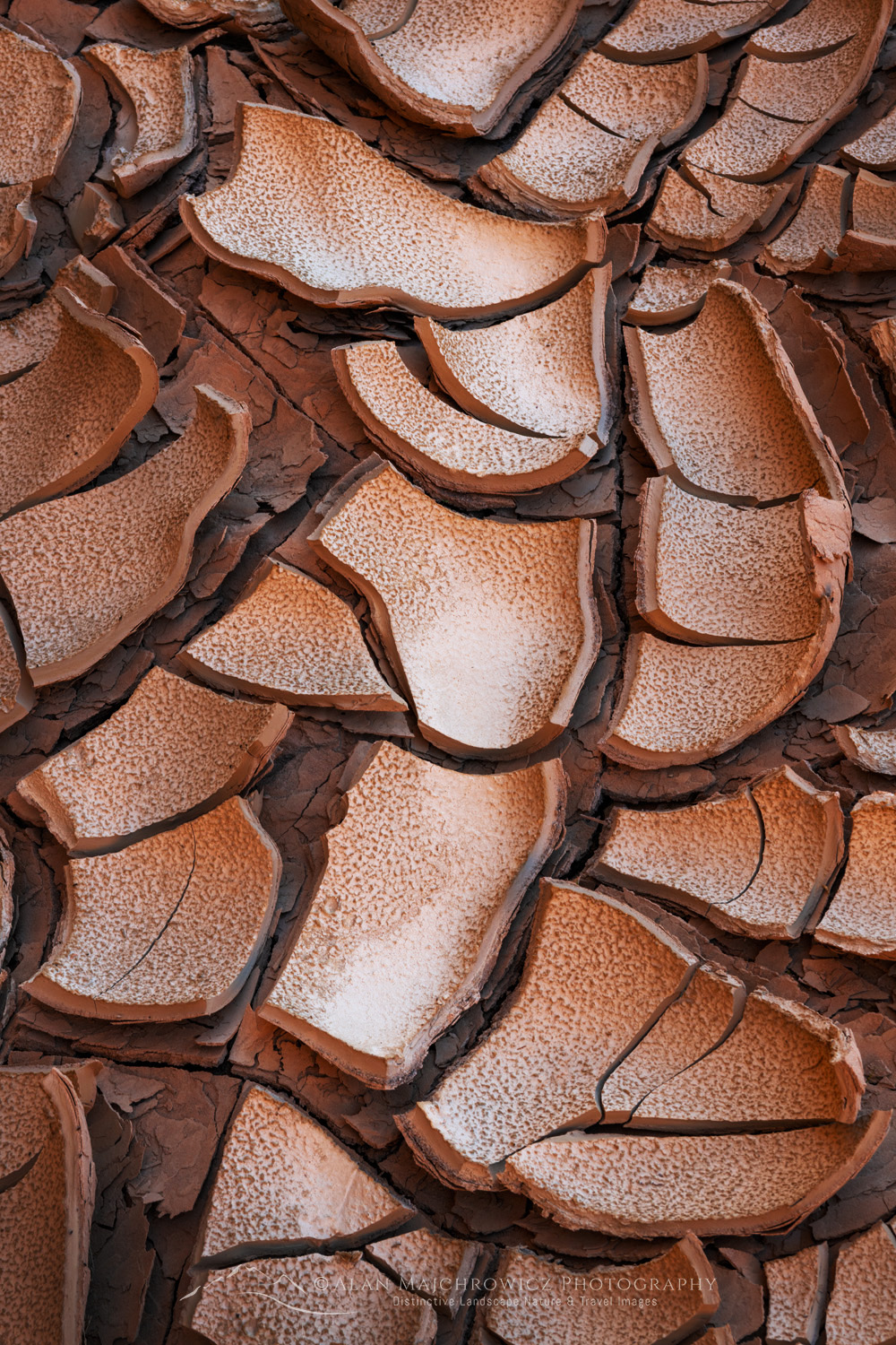 Cracked mud patterns in Harris Wash Grand Staircase-Escalante National Monument Utah #84616