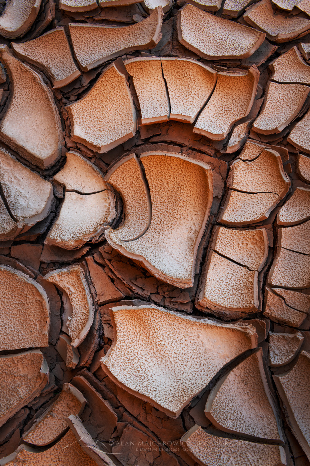Cracked mud patterns in Harris Wash Grand Staircase-Escalante National Monument Utah #84618