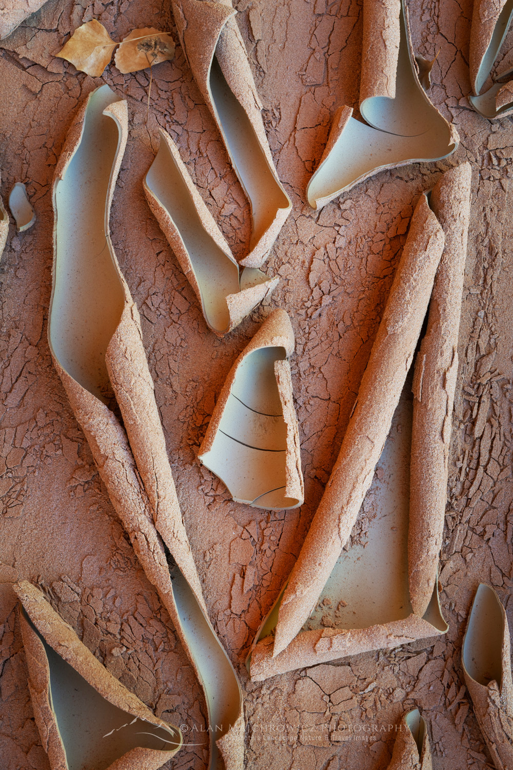 Cracked mud patterns in Harris Wash Grand Staircase-Escalante National Monument Utah #84623