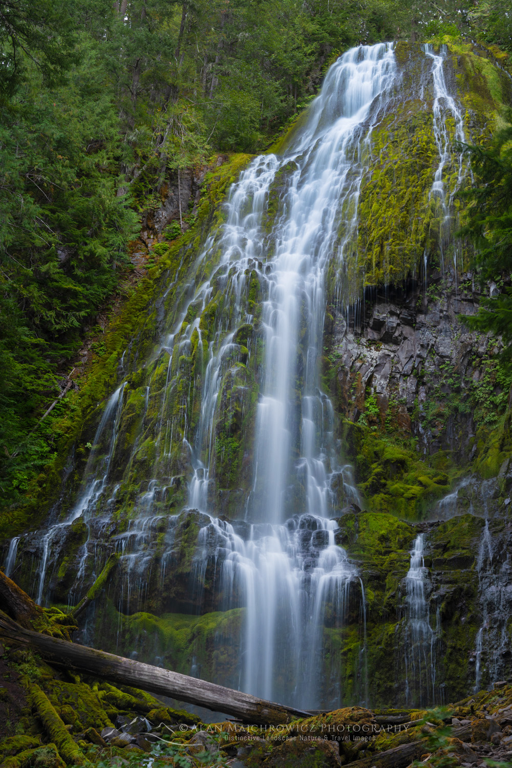 Proxy Falls, Willamette National Forest, Oregon #84258