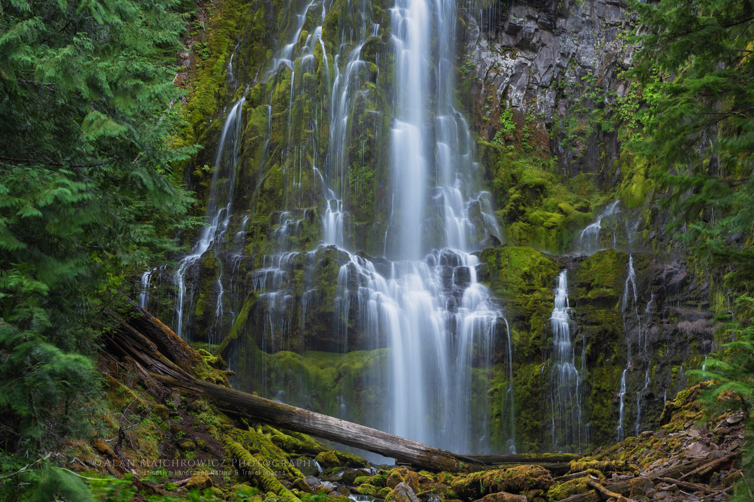 Proxy Falls, Willamette National Forest, Oregon #84265