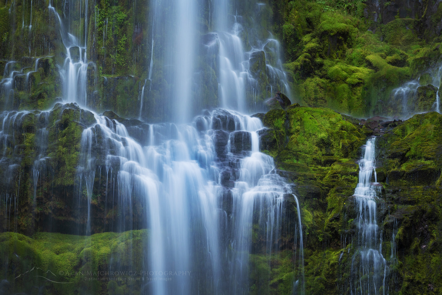 Proxy Falls, Willamette National Forest, Oregon #84267