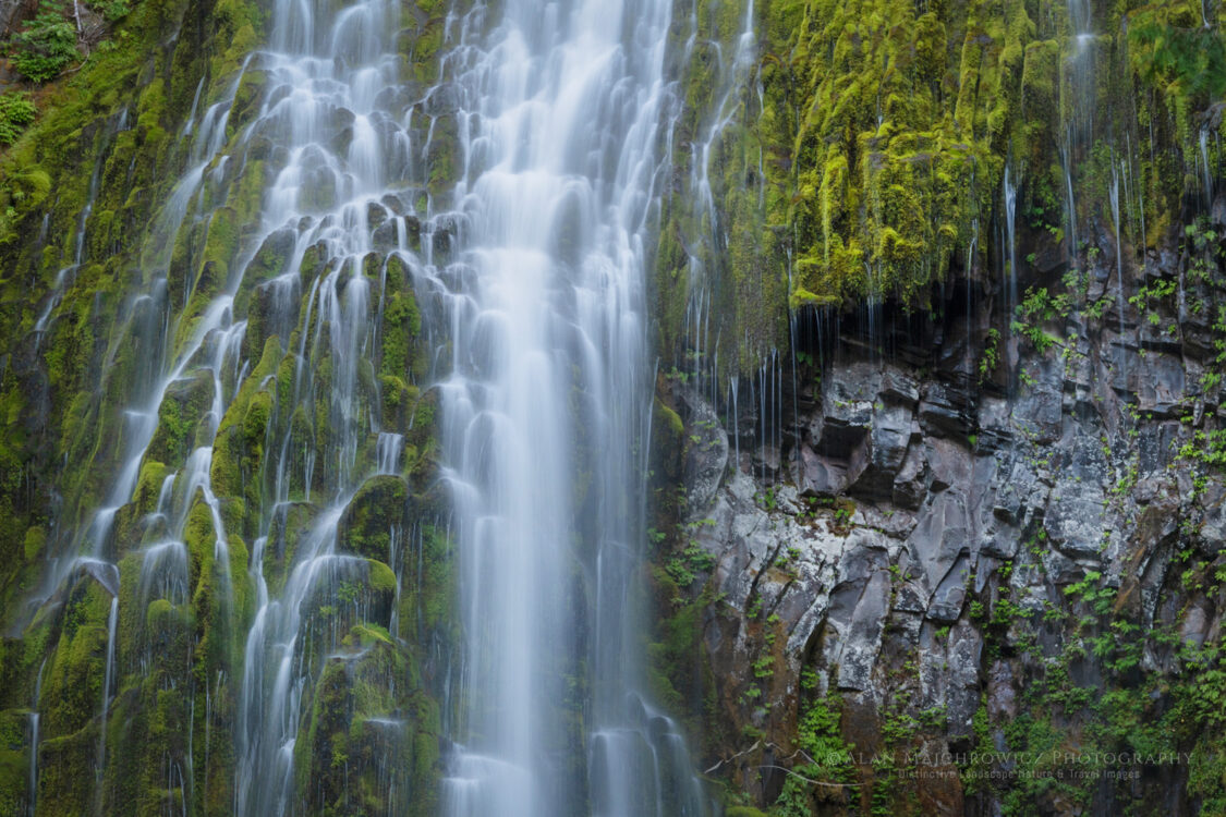Proxy Falls Oregon Willamette National Forest, Oregon #84268