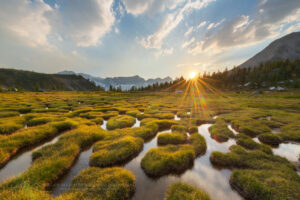 Sunset over ponds below Mount Monica. Purcell Mountains British Columbia Canada #80997