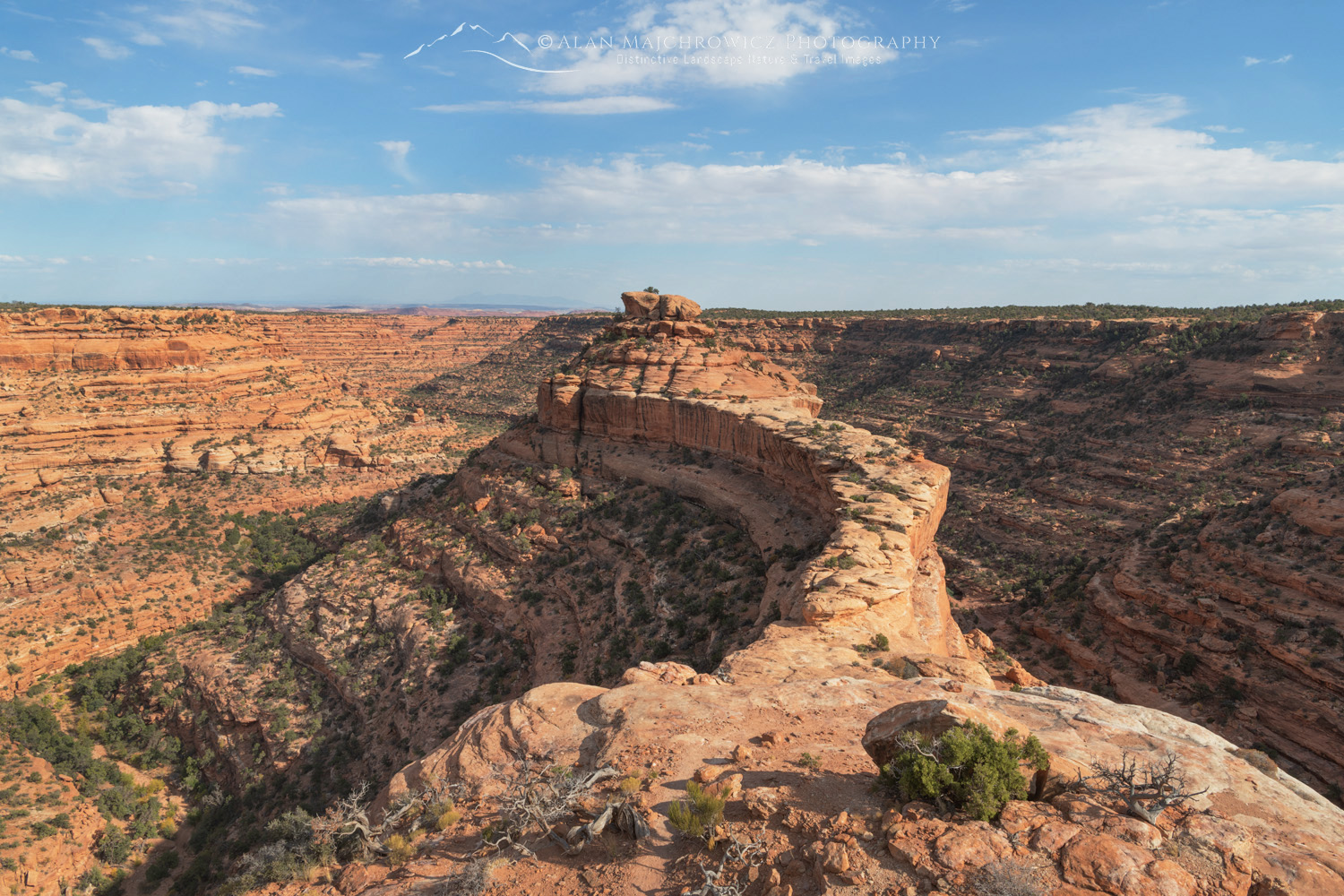 Road Canyon, Cedar Mesa, Bears Ears National Monument, Utah #85214