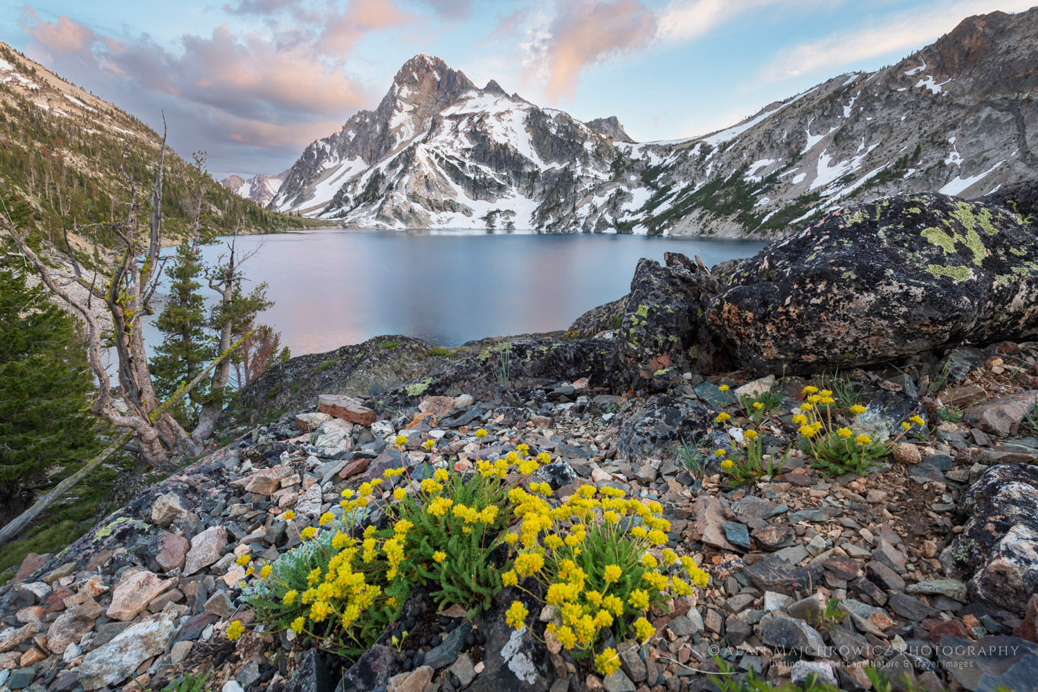 Sawtooth Lake and Mount Regan. A grouping of Gordon’s Ivesia (Ivesia gordonii) wildflowers is in the foreground. Sawtooth Wilderness, Idaho #83531
