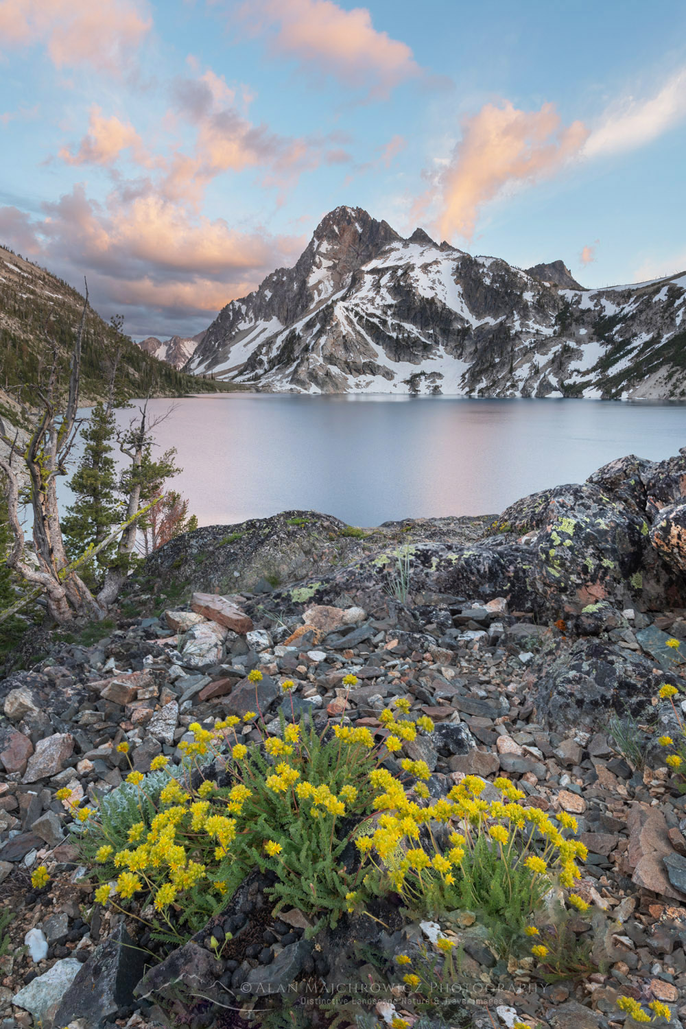 Sawtooth Lake and Mount Regan. A grouping of Gordon’s Ivesia (Ivesia gordonii) wildflowers is in the foreground. Sawtooth Wilderness, Idaho #83542