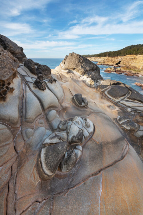 Mineral concretions on cliffs of Shore Acres State Park Oregon #82817