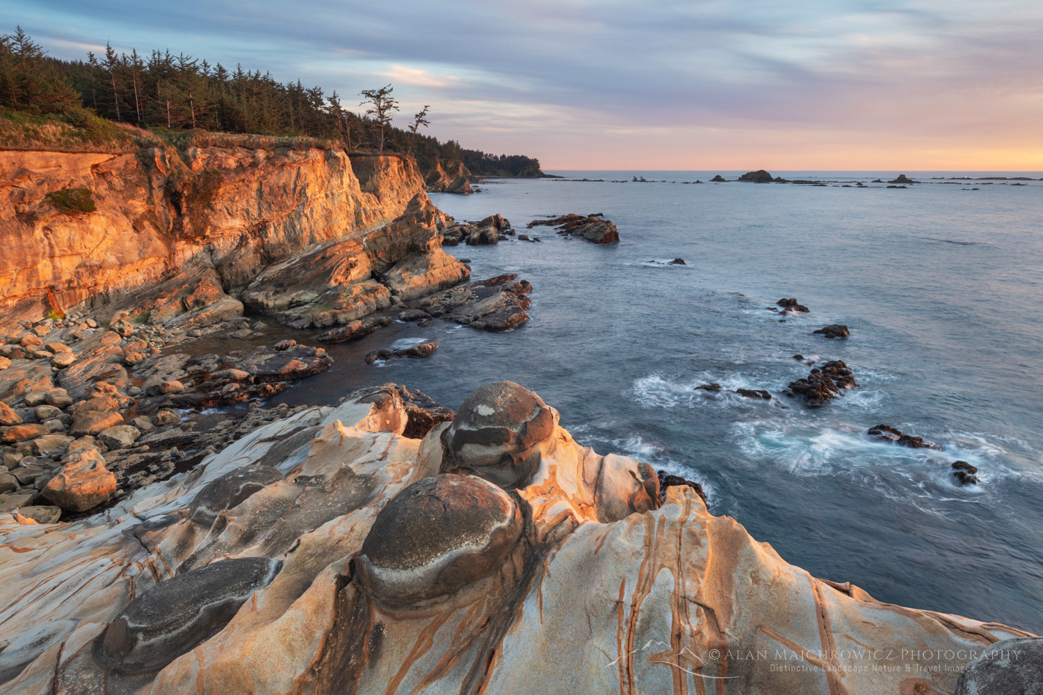 Mineral concretions on cliffs of Shore Acres State Park Oregon #83015