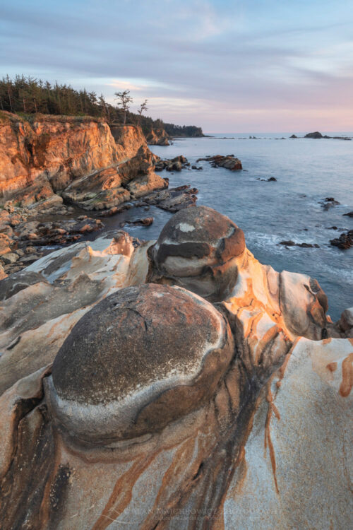 Mineral concretions on cliffs of Shore Acres State Park Oregon #83028