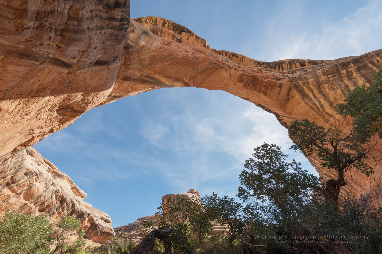 Sipapu Bridge. Natural Bridges National Monument, Utah #85164