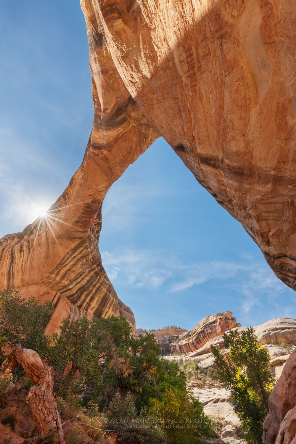 Sipapu Bridge. Natural Bridges National Monument, Utah #85168
