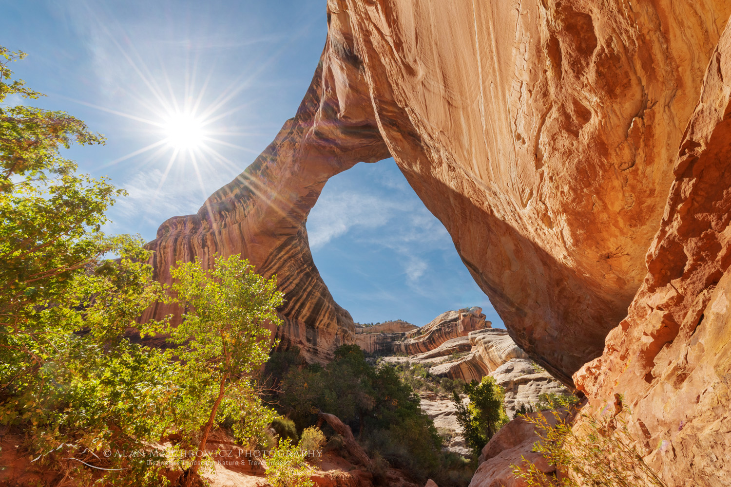 Sipapu Bridge. Natural Bridges National Monument, Utah #85173