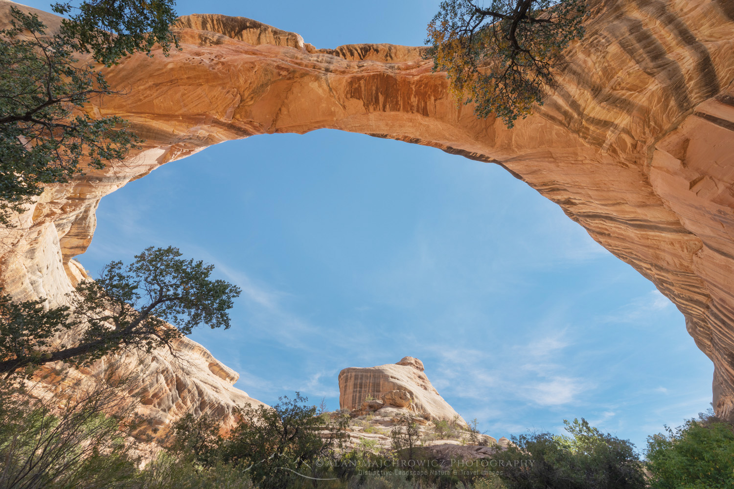 Sipapu Bridge. Natural Bridges National Monument, Utah #85175