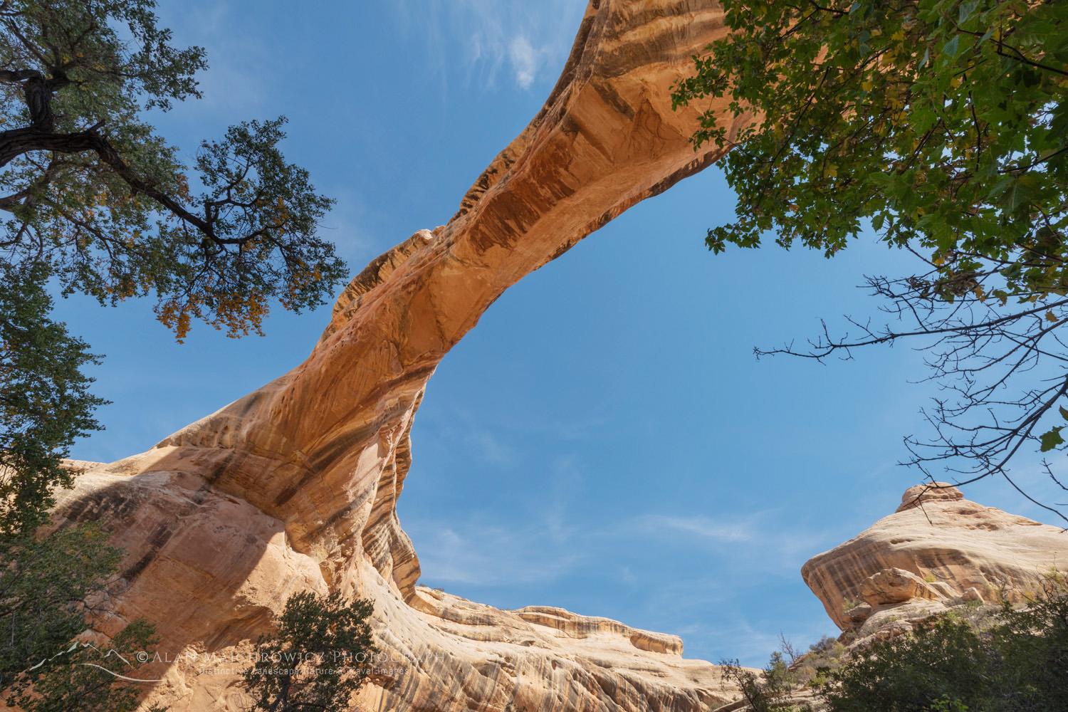 Sipapu Bridge. Natural Bridges National Monument, Utah #85178