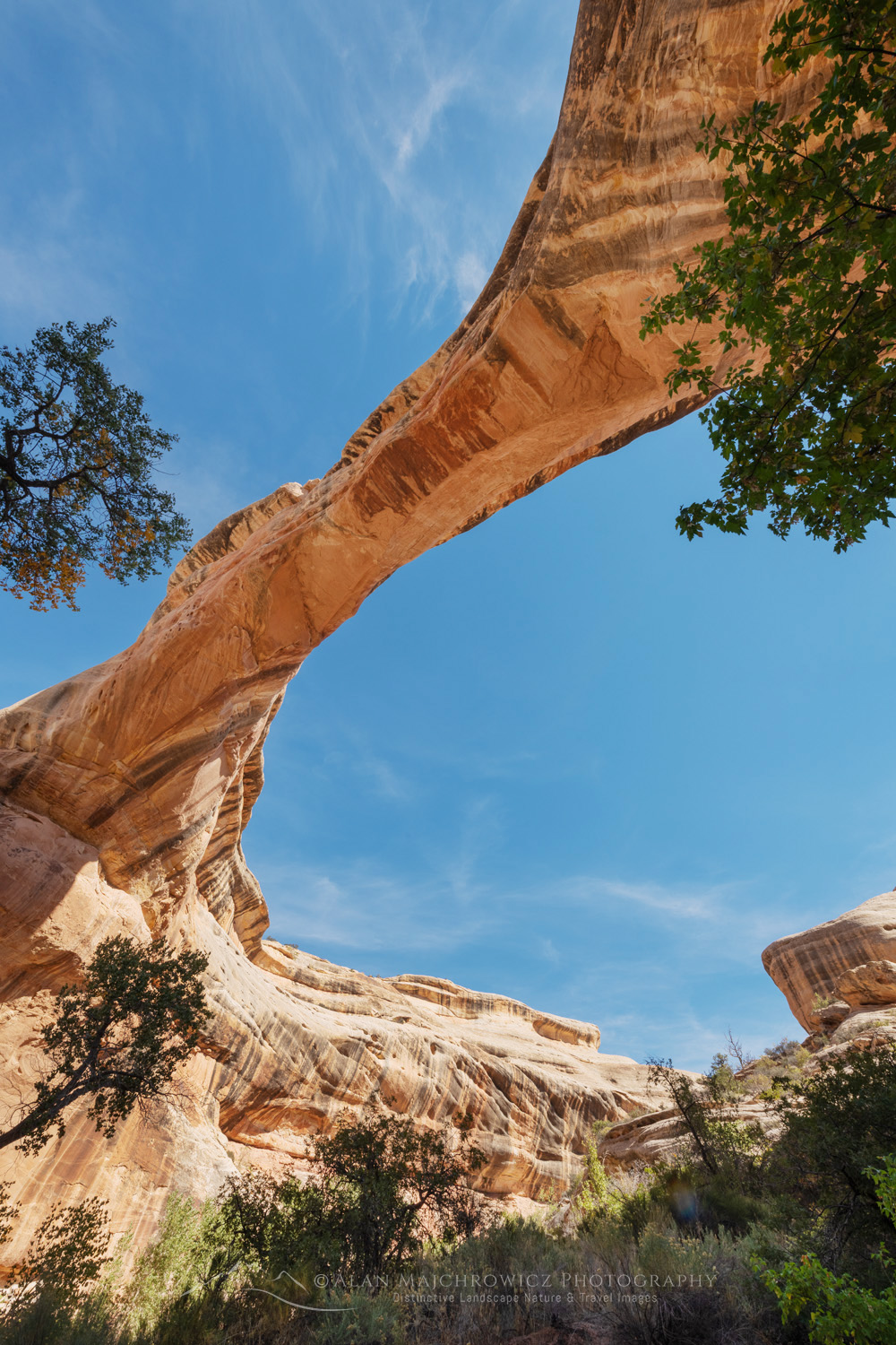Sipapu Bridge. Natural Bridges National Monument, Utah #85179