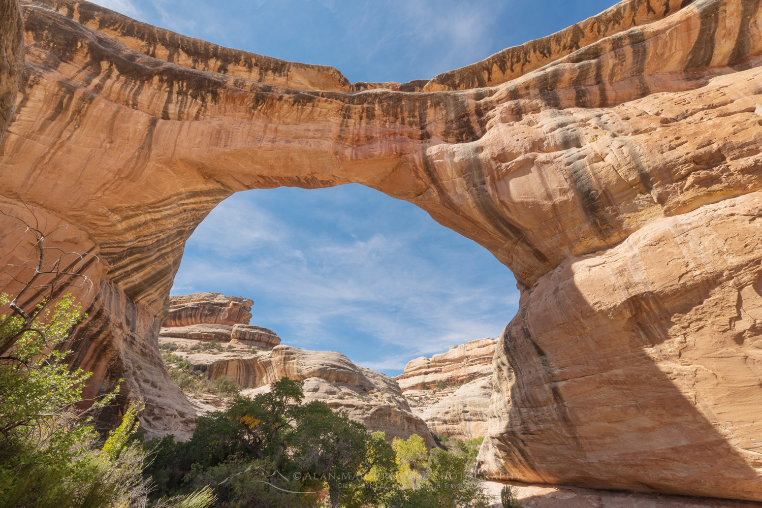 Sipapu Bridge. Natural Bridges National Monument, Utah #85182