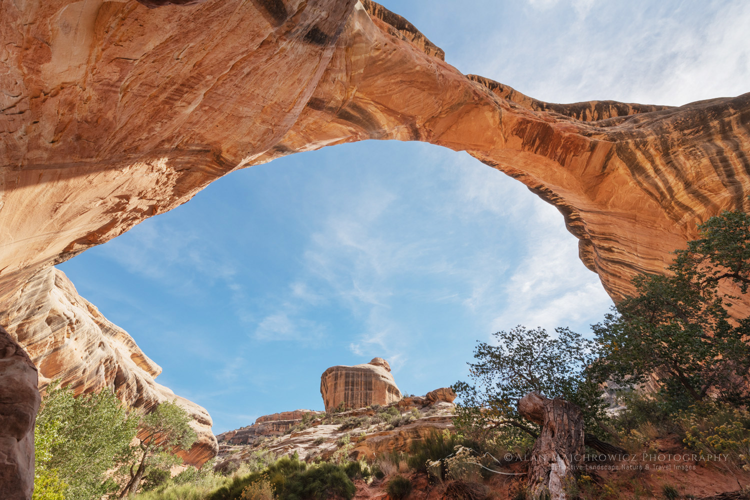 Sipapu Bridge. Natural Bridges National Monument, Utah #85191