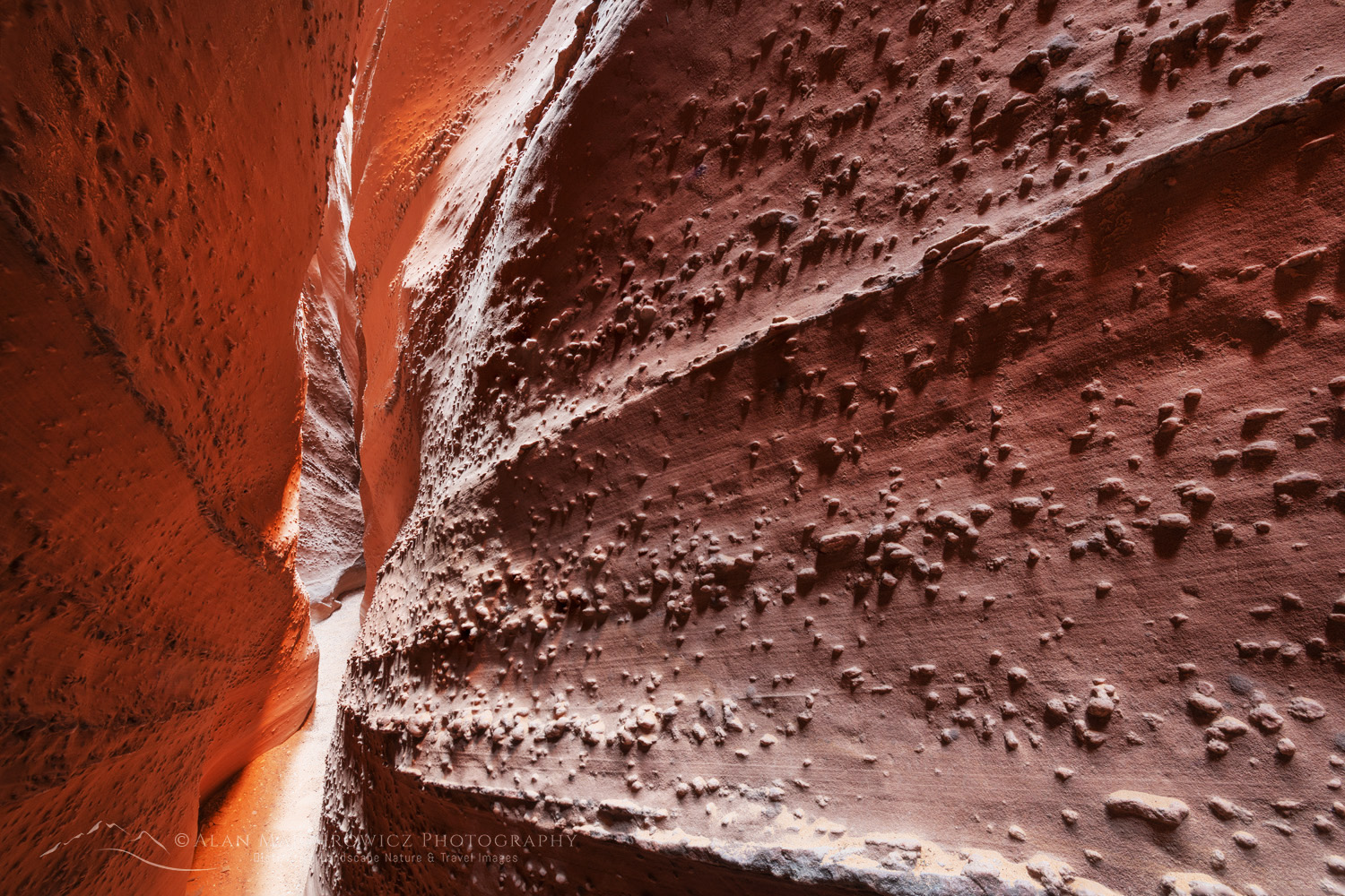Spooky Gulch Slot Canyon. Grand Staircase-Escalante National Monument #84681