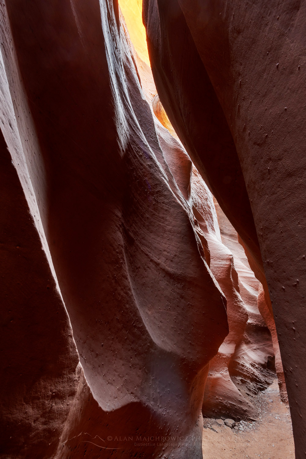 Spooky Gulch Slot Canyon. Grand Staircase-Escalante National Monument #84694