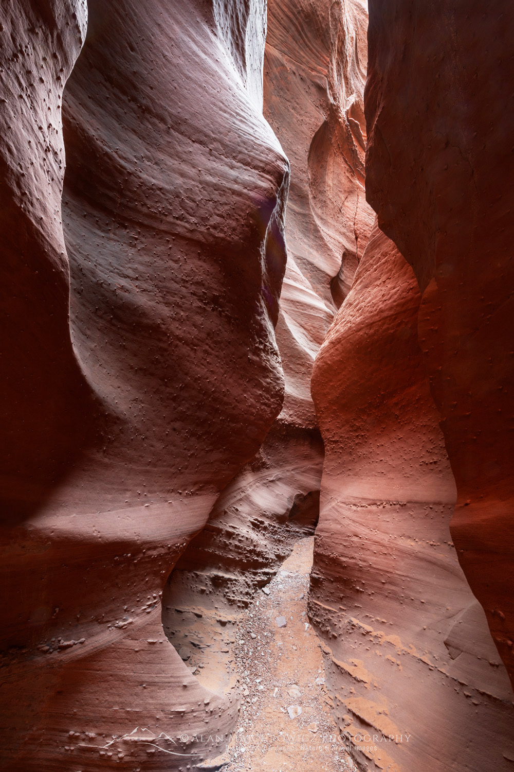Spooky Gulch Slot Canyon. Grand Staircase-Escalante National Monument #84696