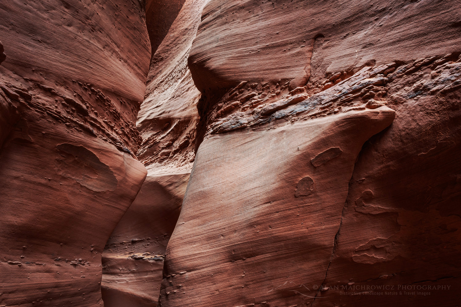 Spooky Gulch Slot Canyon. Grand Staircase-Escalante National Monument #84703